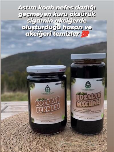 Kozalak Macunu